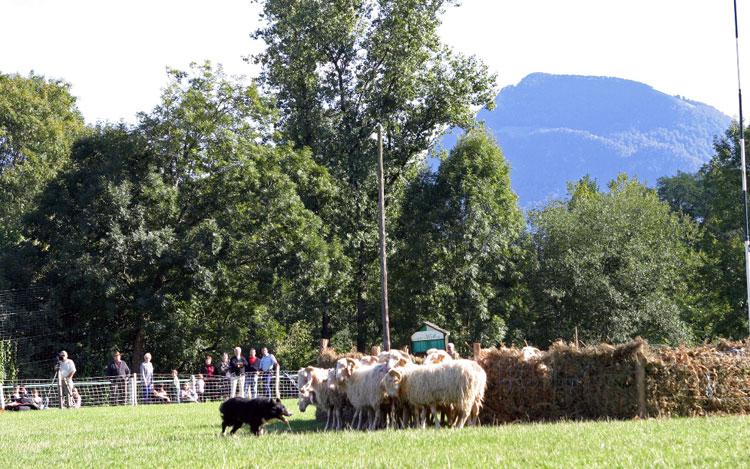 Fête des bergers à Aramits dans les Pyrénées-Atlantiques