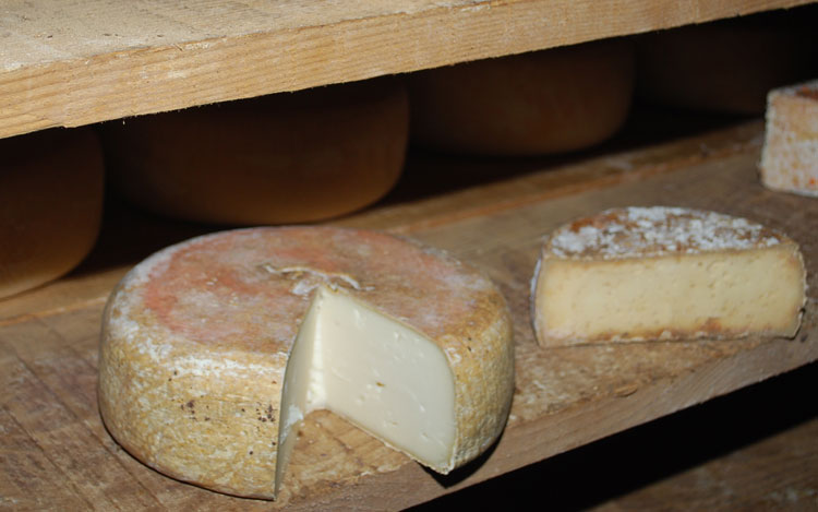 Foire aux fromages à Laruns dans les Pyrénées-Atlantiques